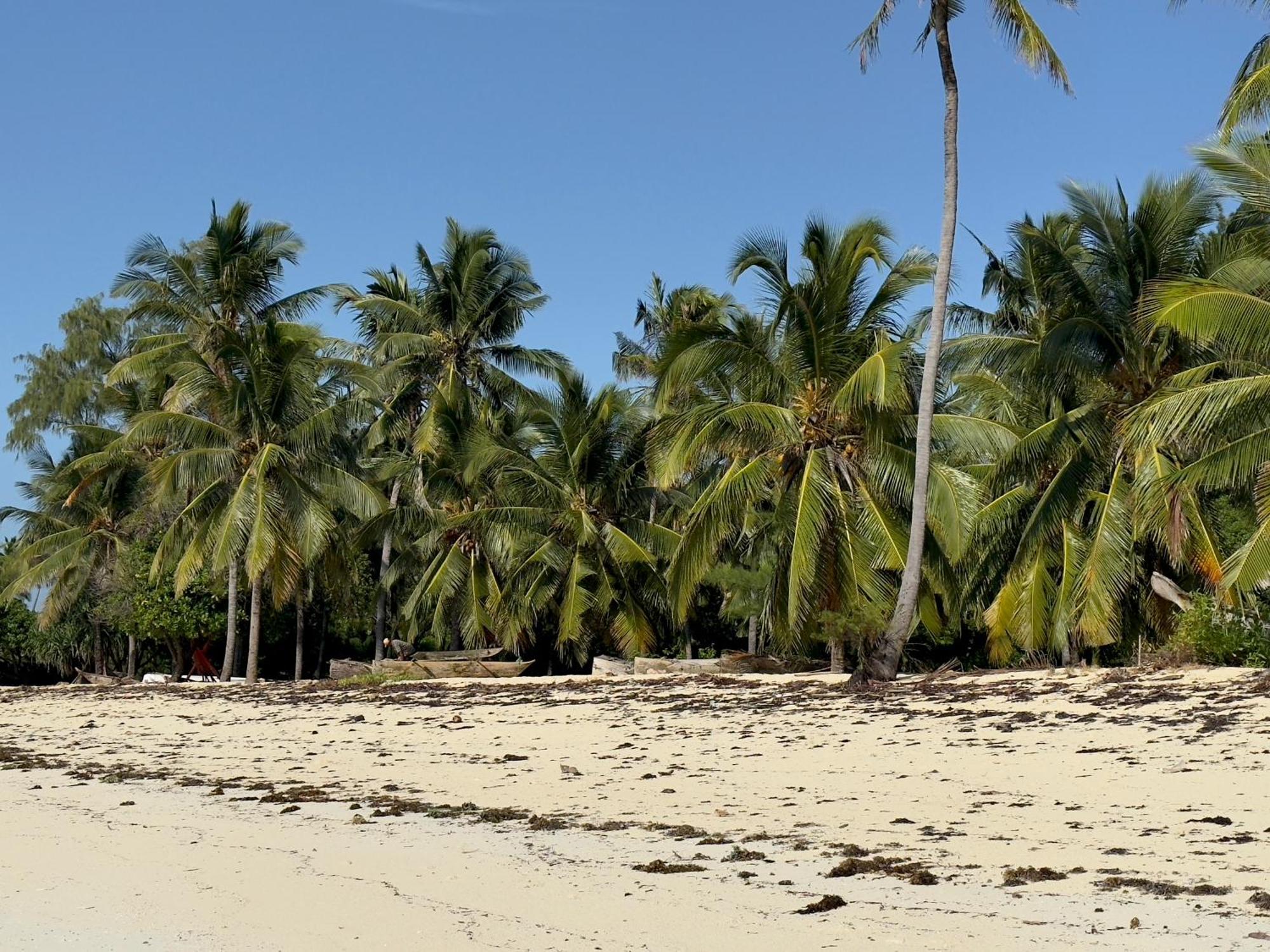 Juana Ocean Villas Makunduchi Exterior photo